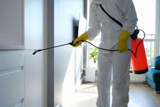 Best Crawl Space Mold Removal  in Laurium, MI