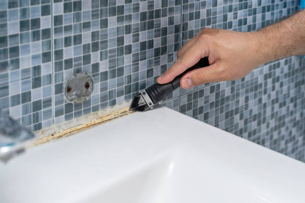 Best Mold Remediation  in Laurium, MI